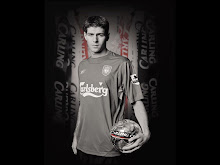 Gerrard 8