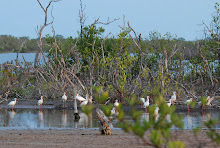 laguna de Mato