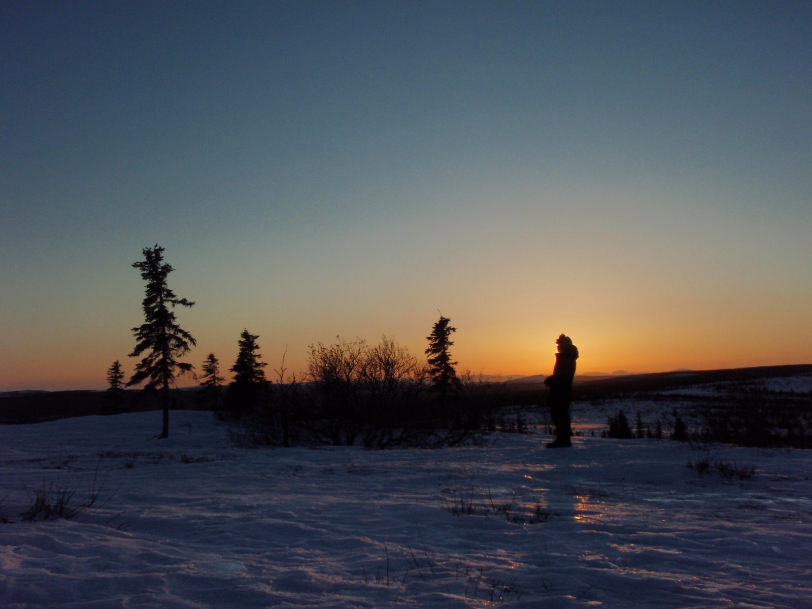 [P3221185.JPG]