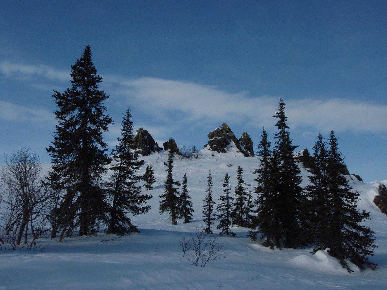 [P3231353.JPG]