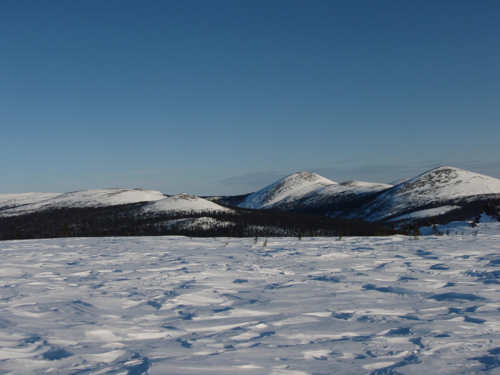 [P3231397.JPG]