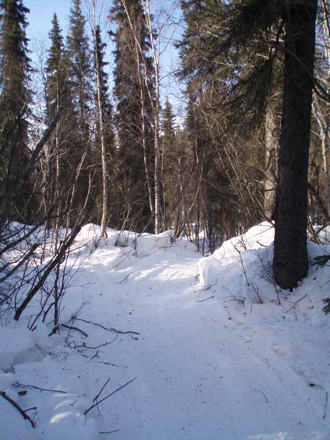 [P2120980b.jpg]