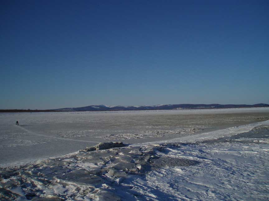 [P3131054b.jpg]