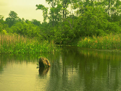 wallpapers of nature. wallpapers of nature for pc. wallpapers of nature.
