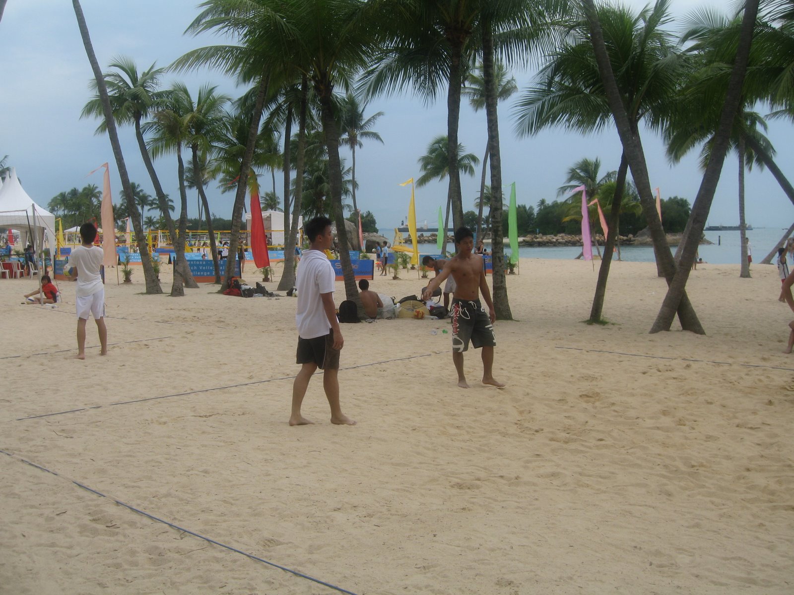 [IMG_0629.JPG]