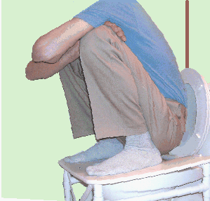 Nature%27s_Platform_toilet_converter.gif?width=251