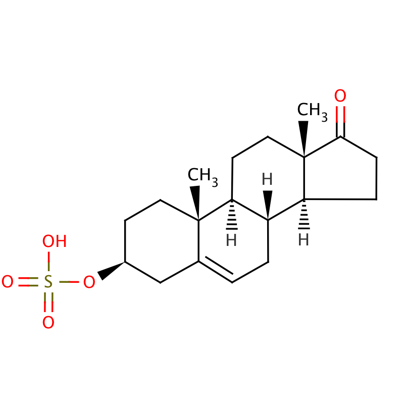 DHEA Overlooked or Overrated? SuppVersity Nutrition and Exercise