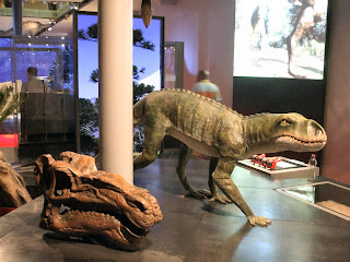 A Dinosaur at The Great North Museum
