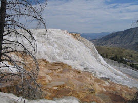 Mammoth Hot Springs