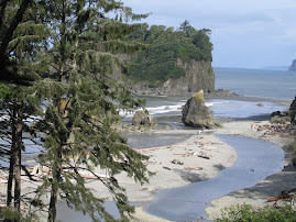 beautiful Ruby Beach