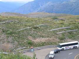 Mt. St. Helens