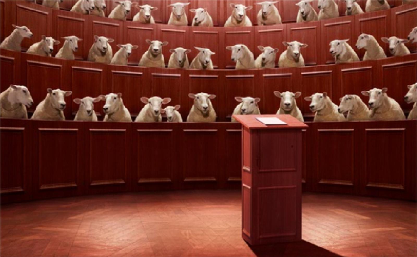 [sheep_in_the+lecture_hall.jpg]