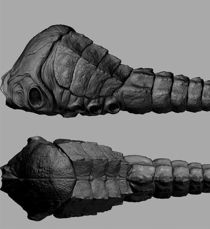 [mist_creatures_2.JPG]