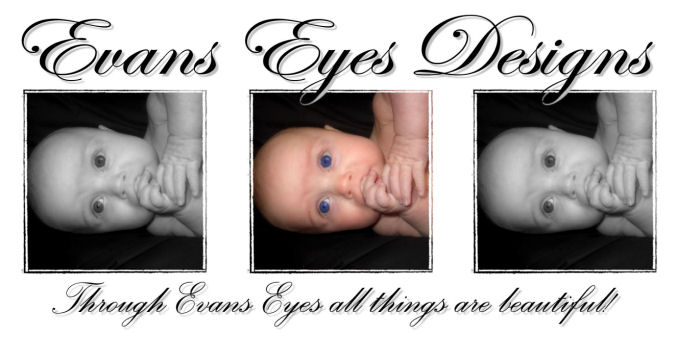 Evans Eyes Designs