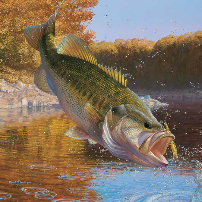 bass-fishing-facts.jpg