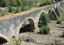 Estepona en imagenes