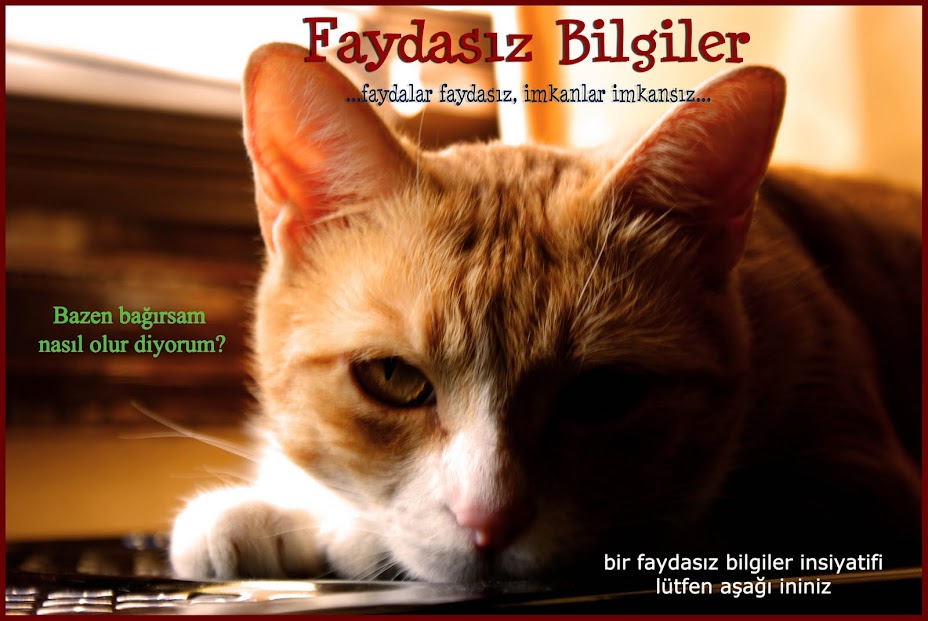 Faydasız Bilgiler