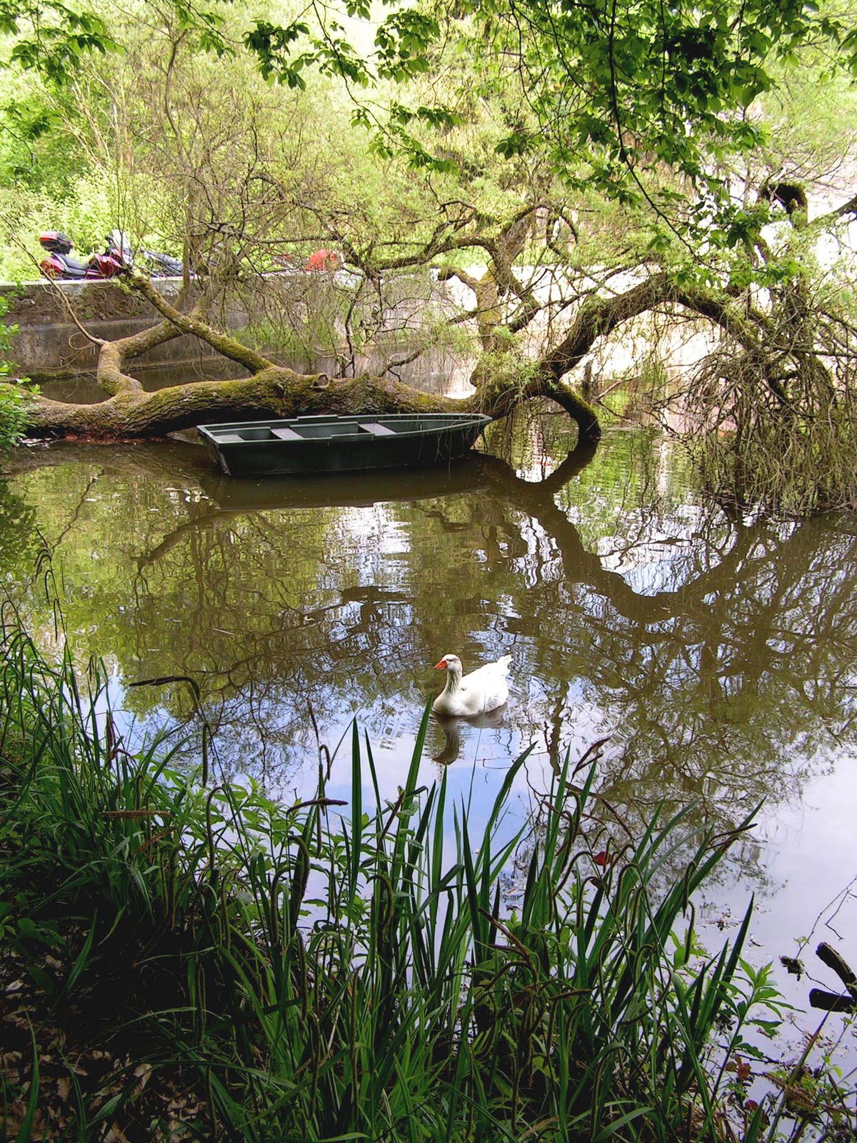 rencontres pont de vaux