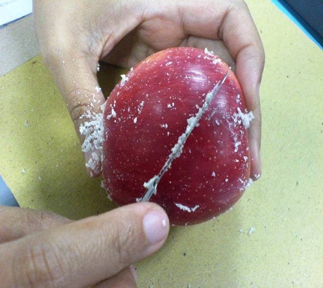 trivia matters Don't Eat Apple Skin