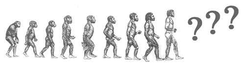 [evolution.jpg]