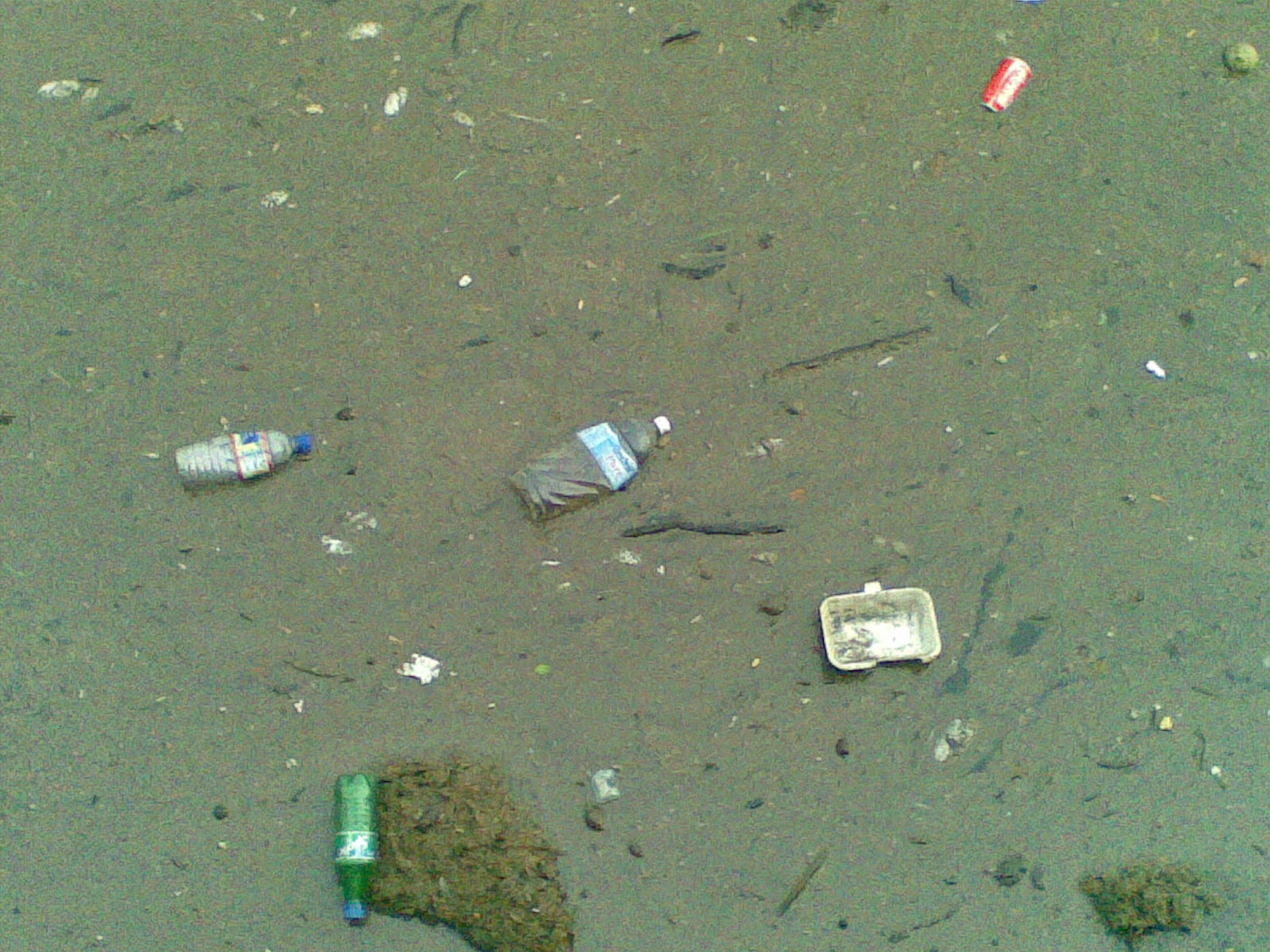 [Image1448.jpg]
