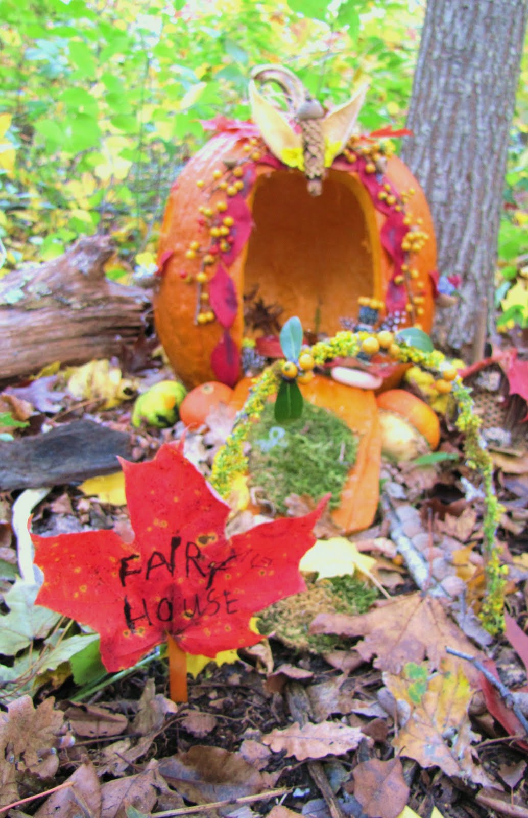 Ms. Mitchell's Kindergarten Creating Our Pumpkin Fairy House