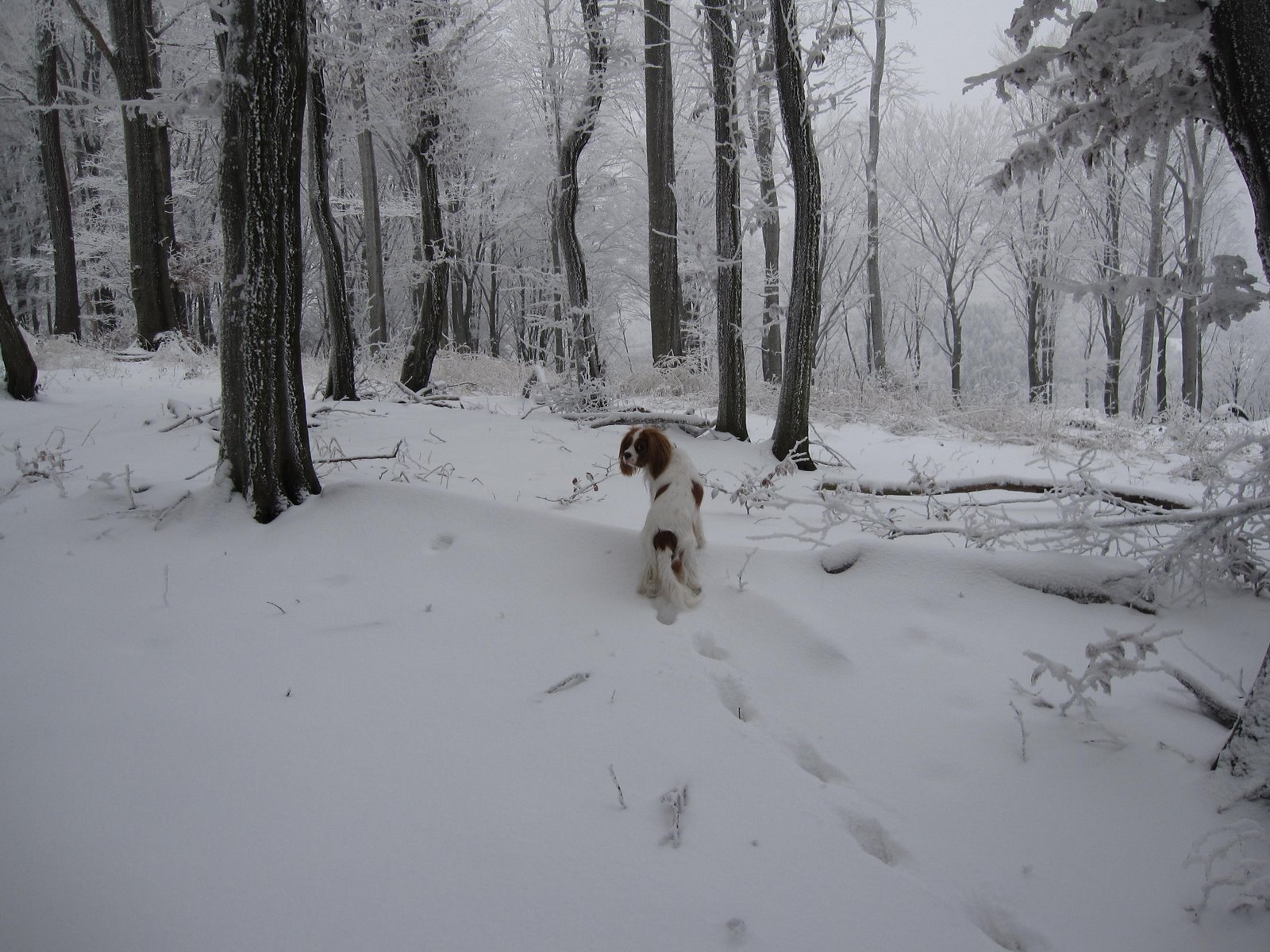 [IMG_7659.JPG]