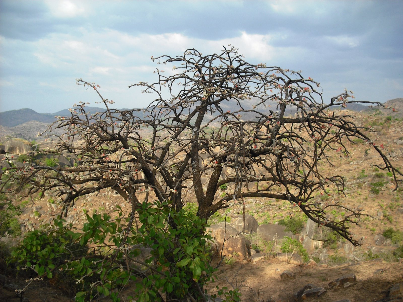 [DSCF0165.JPG]