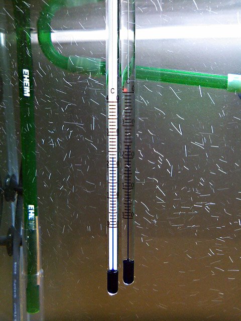 [SN3G0040.JPG]