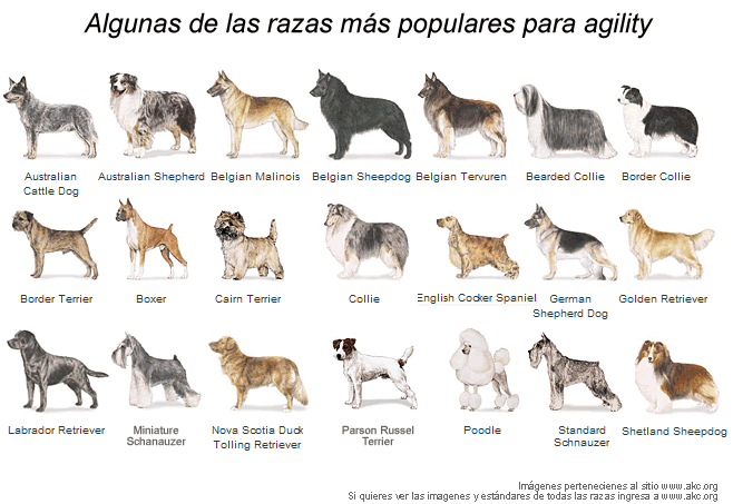Mundo Mundo