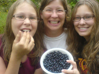 blueberries right at our site at Promiseland State Park