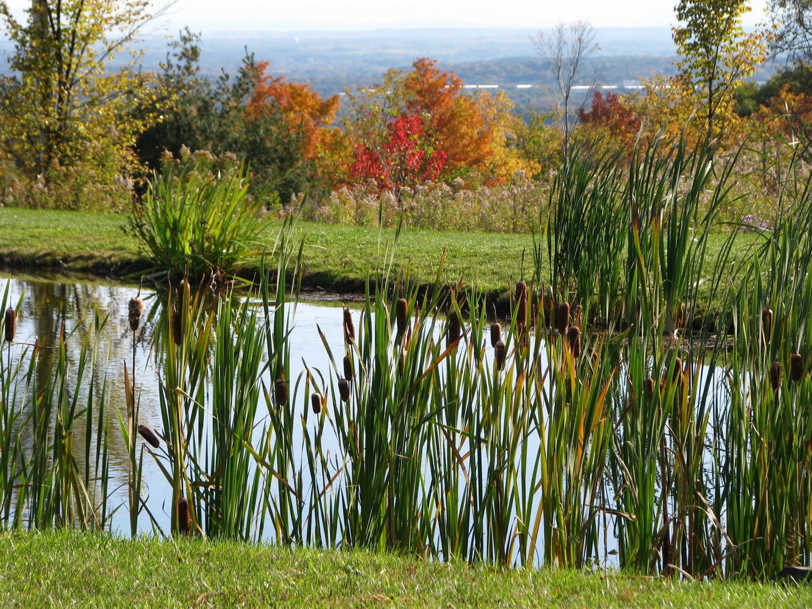 [fall+fest+080.JPG]