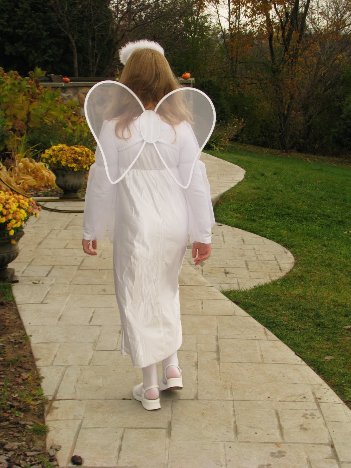 [Halloween+2009+006.JPG]
