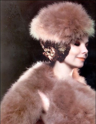 [björk5.bmp]