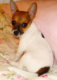 LuLu La Rue.....our baby girl.