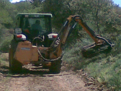 LIMPEZA DE CAMINHOS 26/05/2010