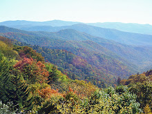 Great Smokey Mtns