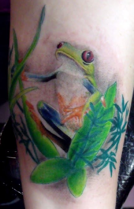 Hey, tree frog fans, check this out. Fester tattooed his 2nd favorite 