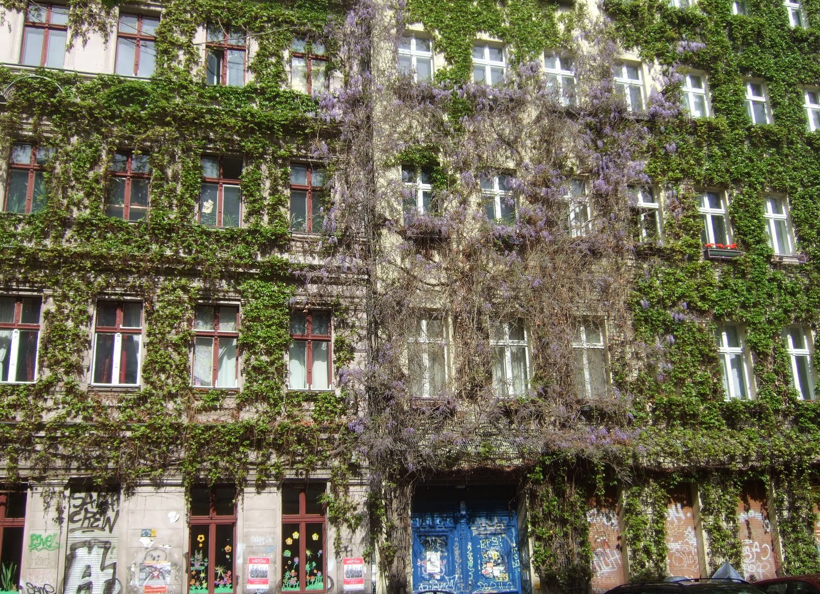 S I E H D I C H U M die Stadt und Landausflüge für