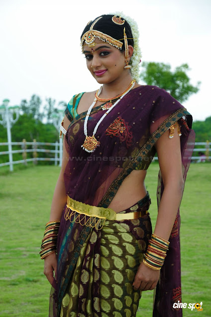 Priyamani Hot in Telugu Movie Raj