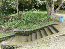 Bienvenidos al Ashram de Coatepec, Veracruz México (AIM) - presiona en la foto y ve el video