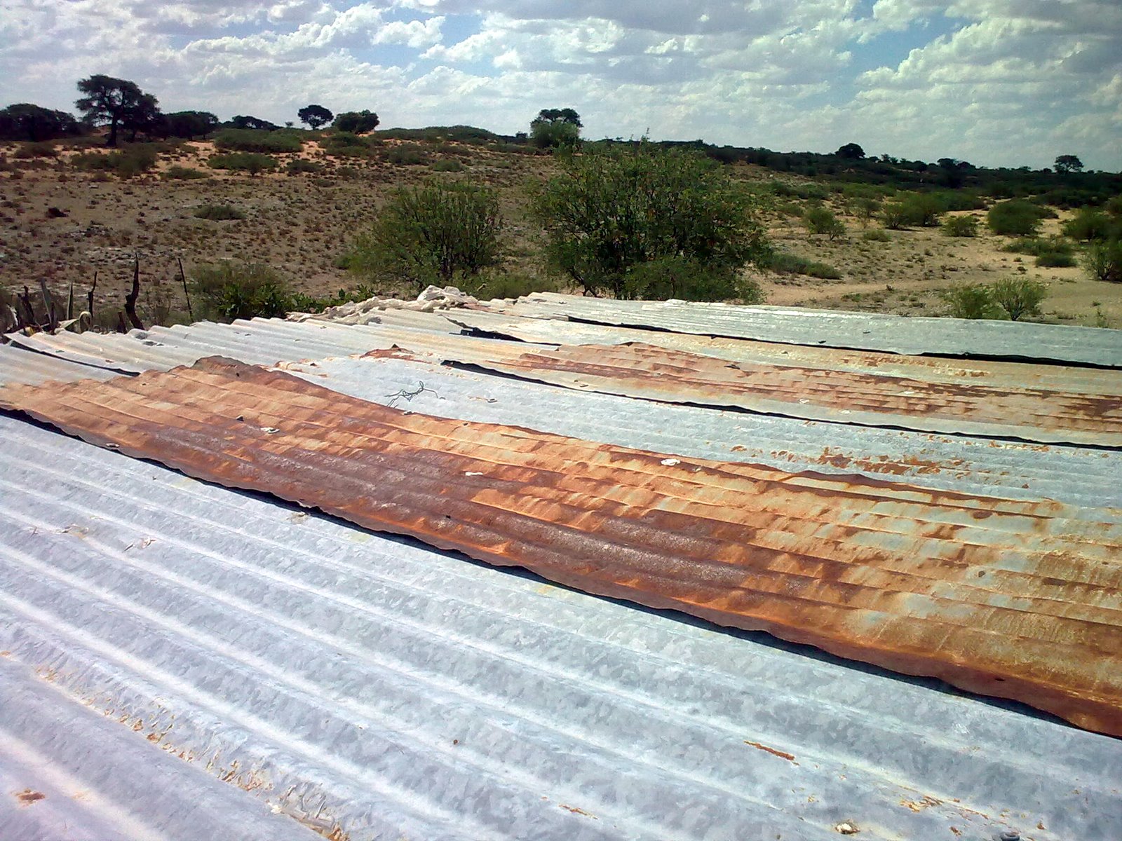 [Image0214.jpg]