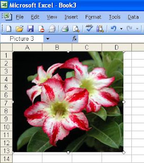 How to Copy Image to Clipboard VB Program