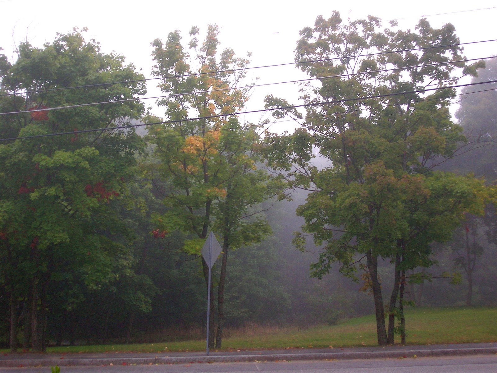 [DSCN1969.JPG]