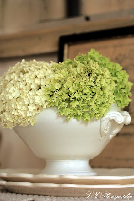 Find Your Bliss In An Ordinary Day Sofies Haus