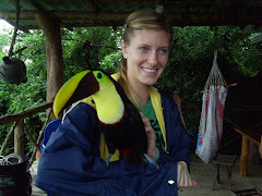 Yes!! That's A Real Toucan!!