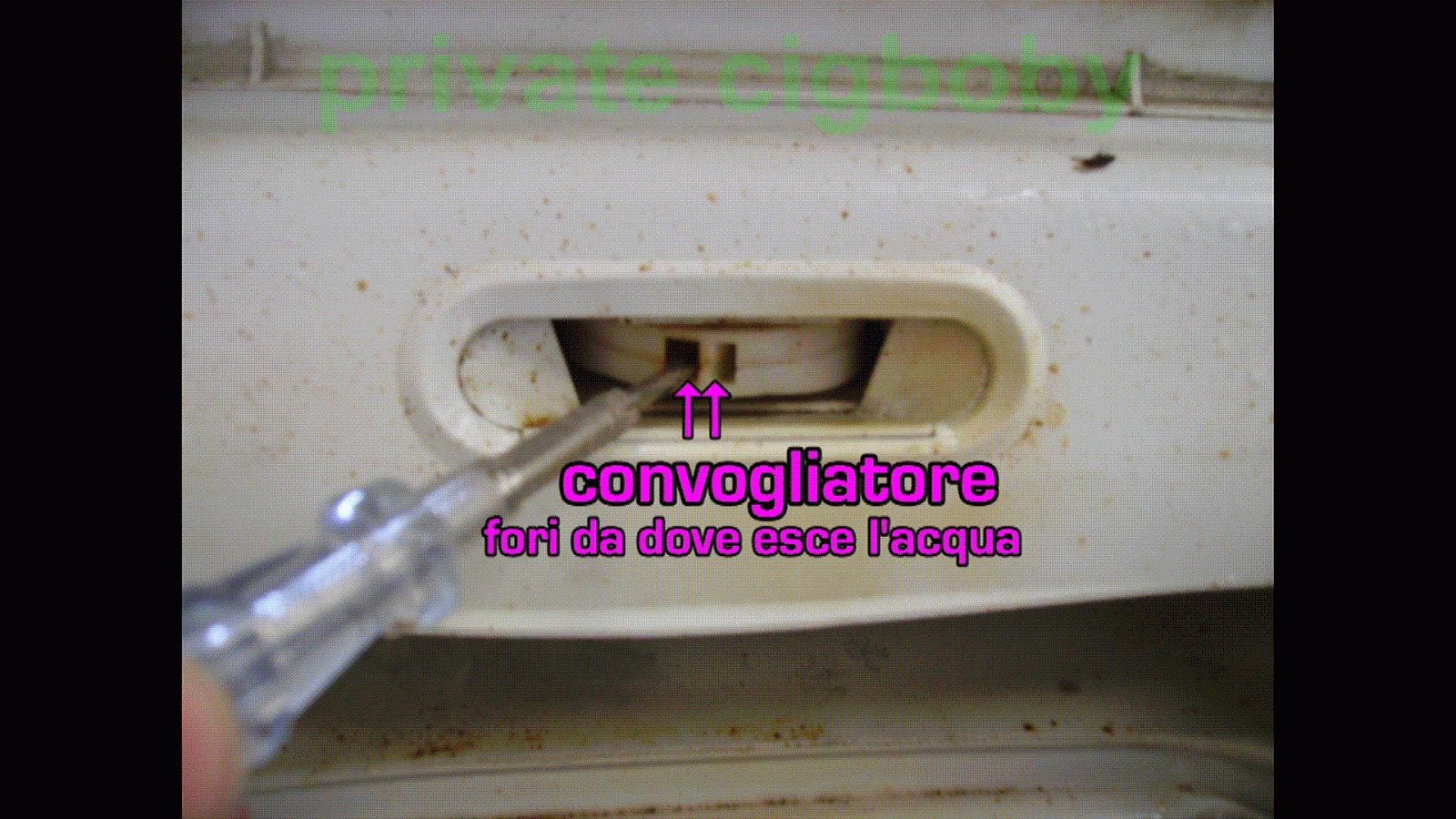 Fai da te con lesperto tuttofare : vediamo come è fatta una ... Come cambiare guarnizione lavatrice