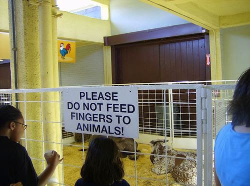 Funny pictures,Funny images,Funny picture gallery,Funny toons,Funny