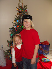 It looks like they acctually like eachother