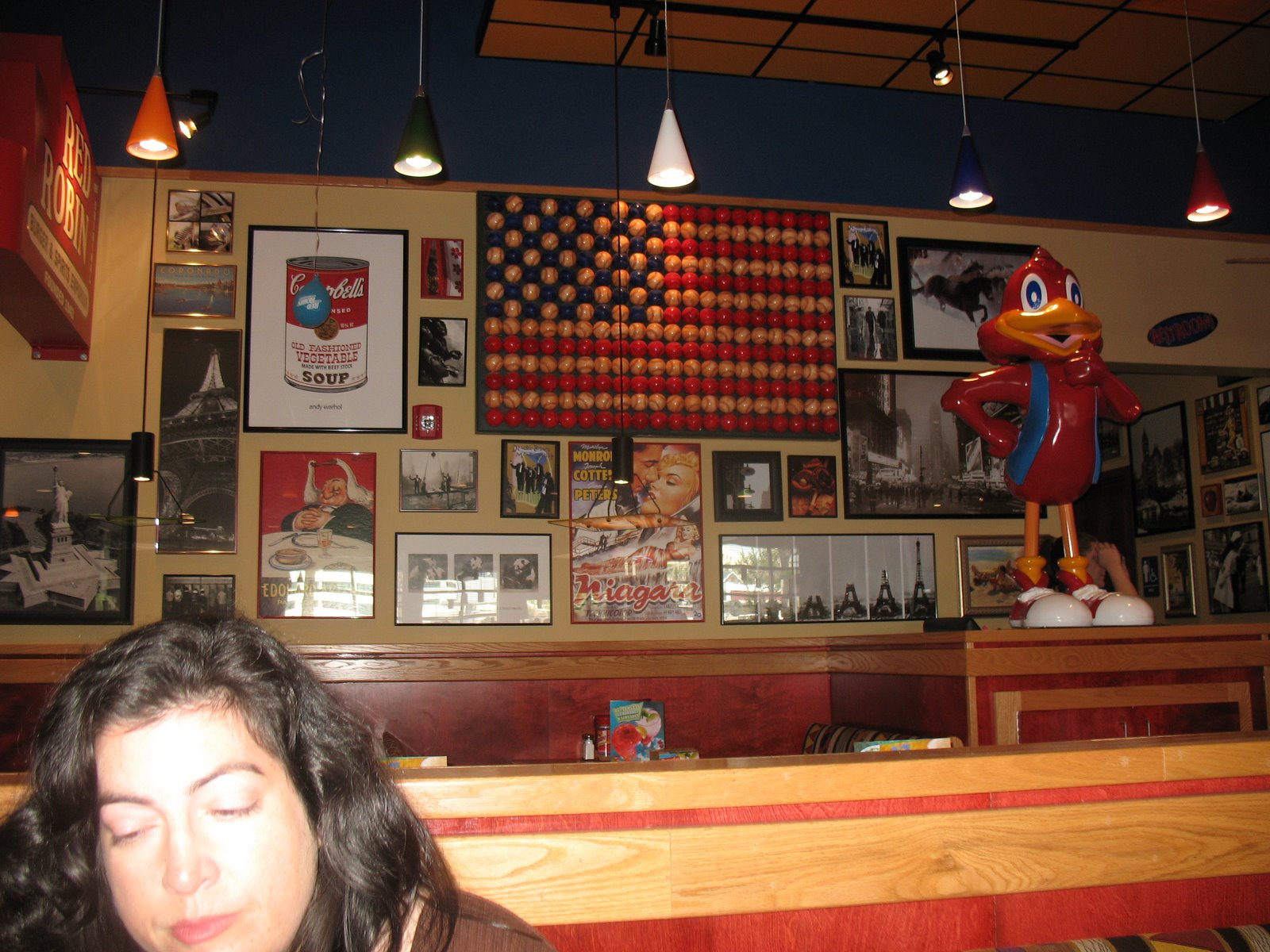 [redrobininside.JPG]